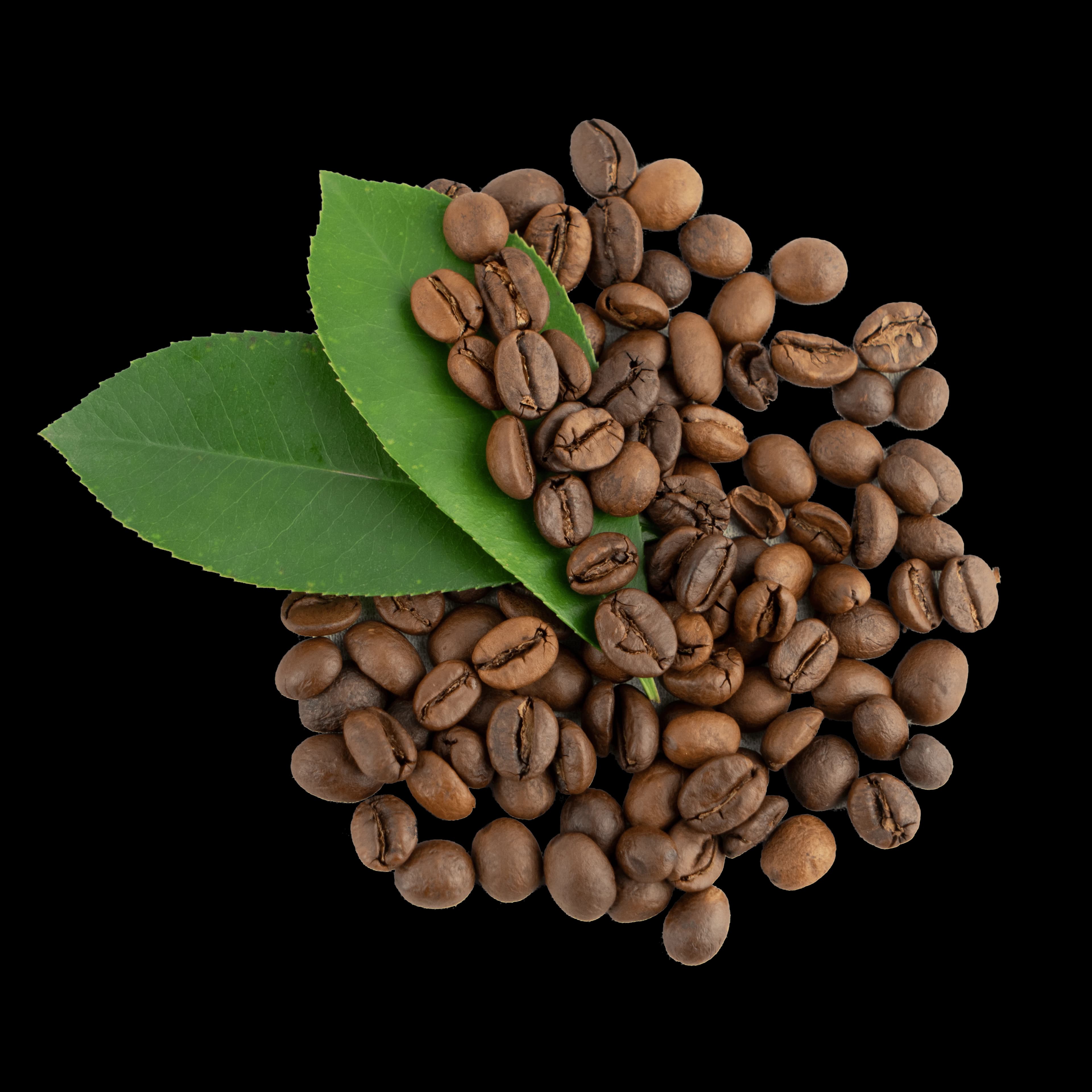 coffee — top note